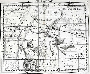 Dessin d'une constellation d'étoiles avec la représentation d'un taureau en filigrane.